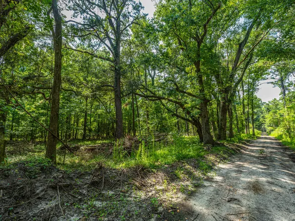 0 Geneva Shaw Ln, Wadmalaw Island, SC 29487