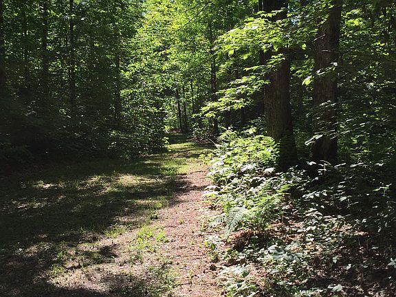 9 acres with roads in.