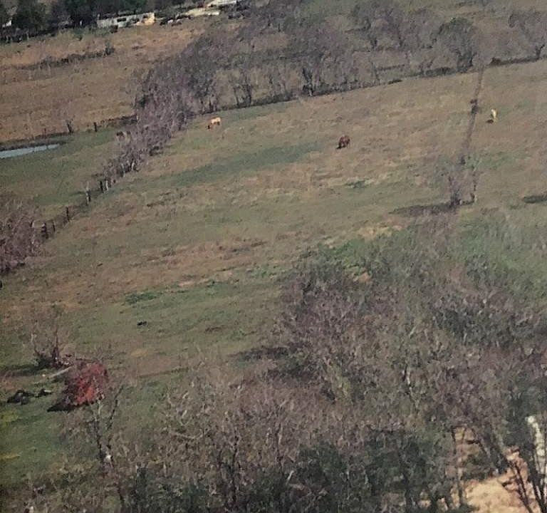 1st image of 6821 Dogwood Ave