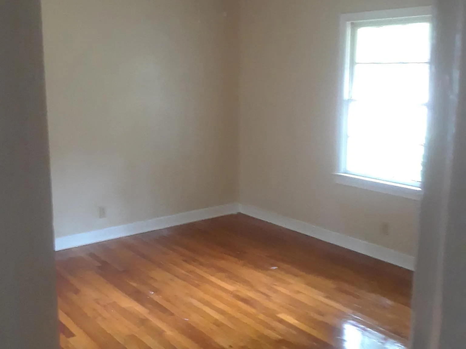 2 bed, 804 sqft, $5,500 — Photo 2