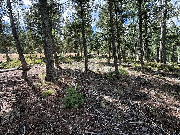 5th image of 167 Big Bear Rd