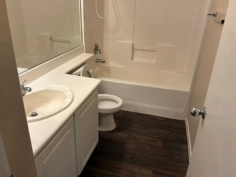 10115 Lemon Thyme St — Photo 53