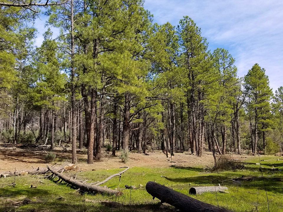 1st image of 2259 E T BEAR Trail #'-'