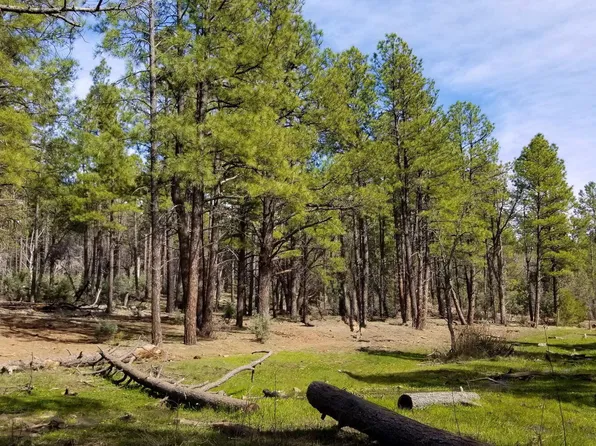 2259 E T BEAR Trail #'-', Lakeside, AZ 85929