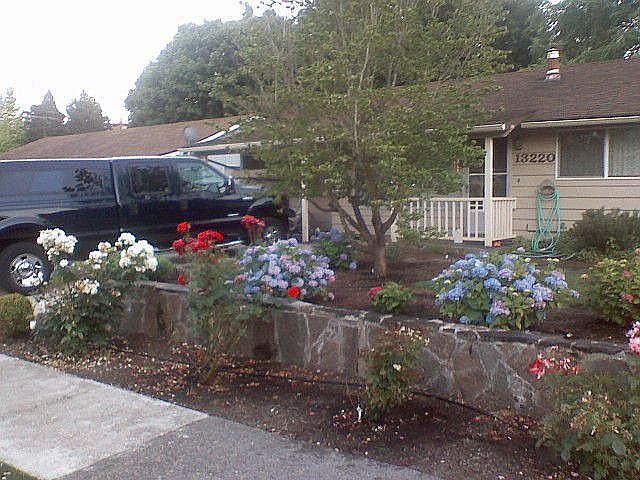 Front Yard View