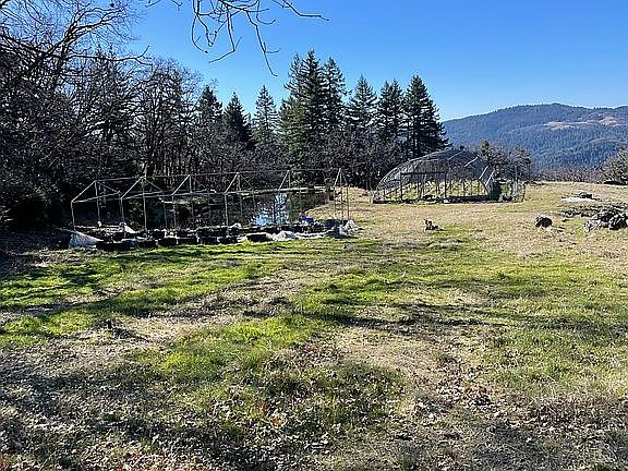 5th image of 12575 Buck Mountain Rd