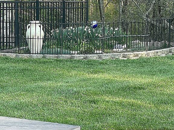 Back yard flower garden