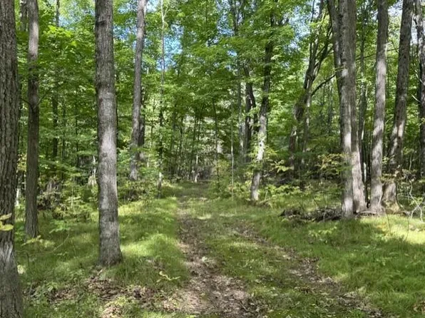 00 COUNTY ROAD K, Irma, WI 54442