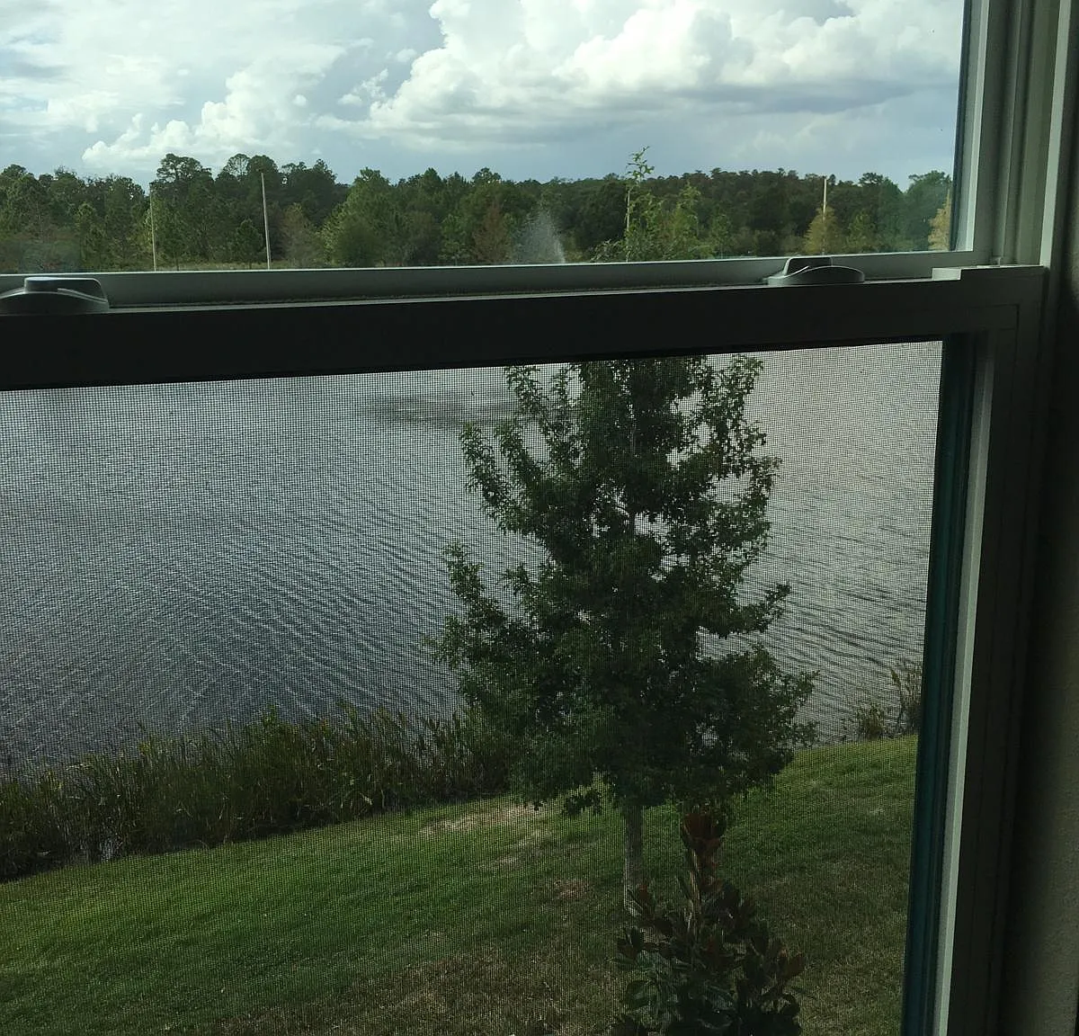 3 bed, 2.5 bath, 1637 sqft, $2,550 — Photo 3
