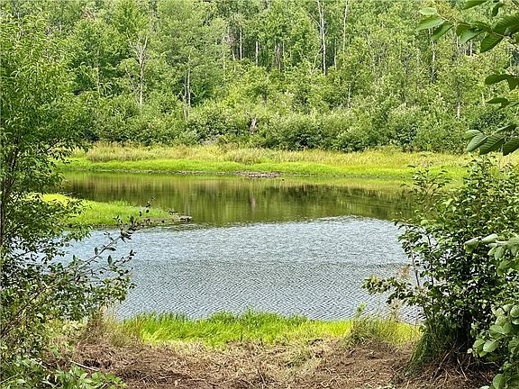 5th image of 20 Acres TOWNLINE Road