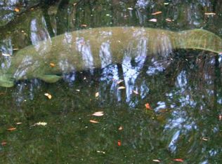 10528 S Riviera Dr, Homosassa, FL 34448