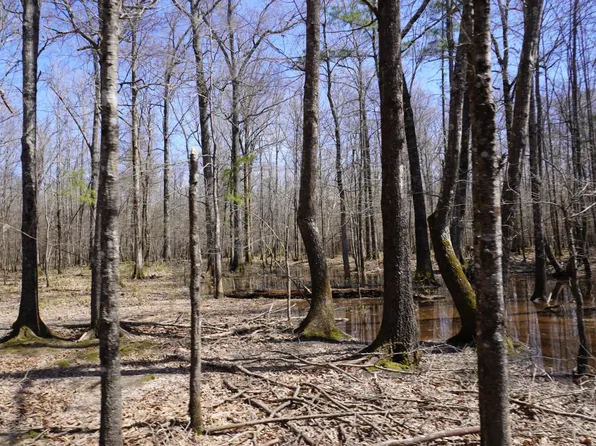 0 N Highway 167, Fordyce, AR 71742