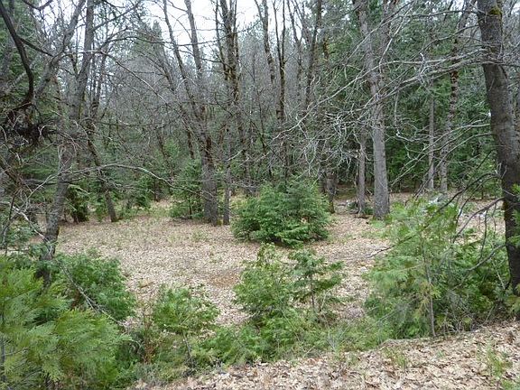 3rd image of 551 Brady Dr