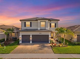 32626 Tree Of Life Ave, Wesley Chapel, FL 33543