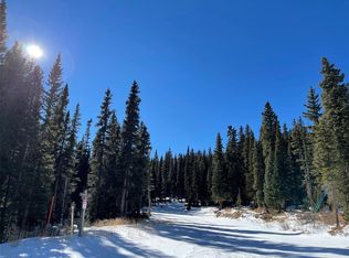 11 Kimmes Lane, Breckenridge, CO 80424