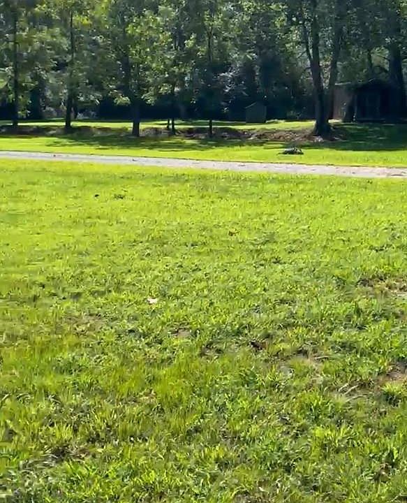 2nd image of 358 Piney Spur Rd