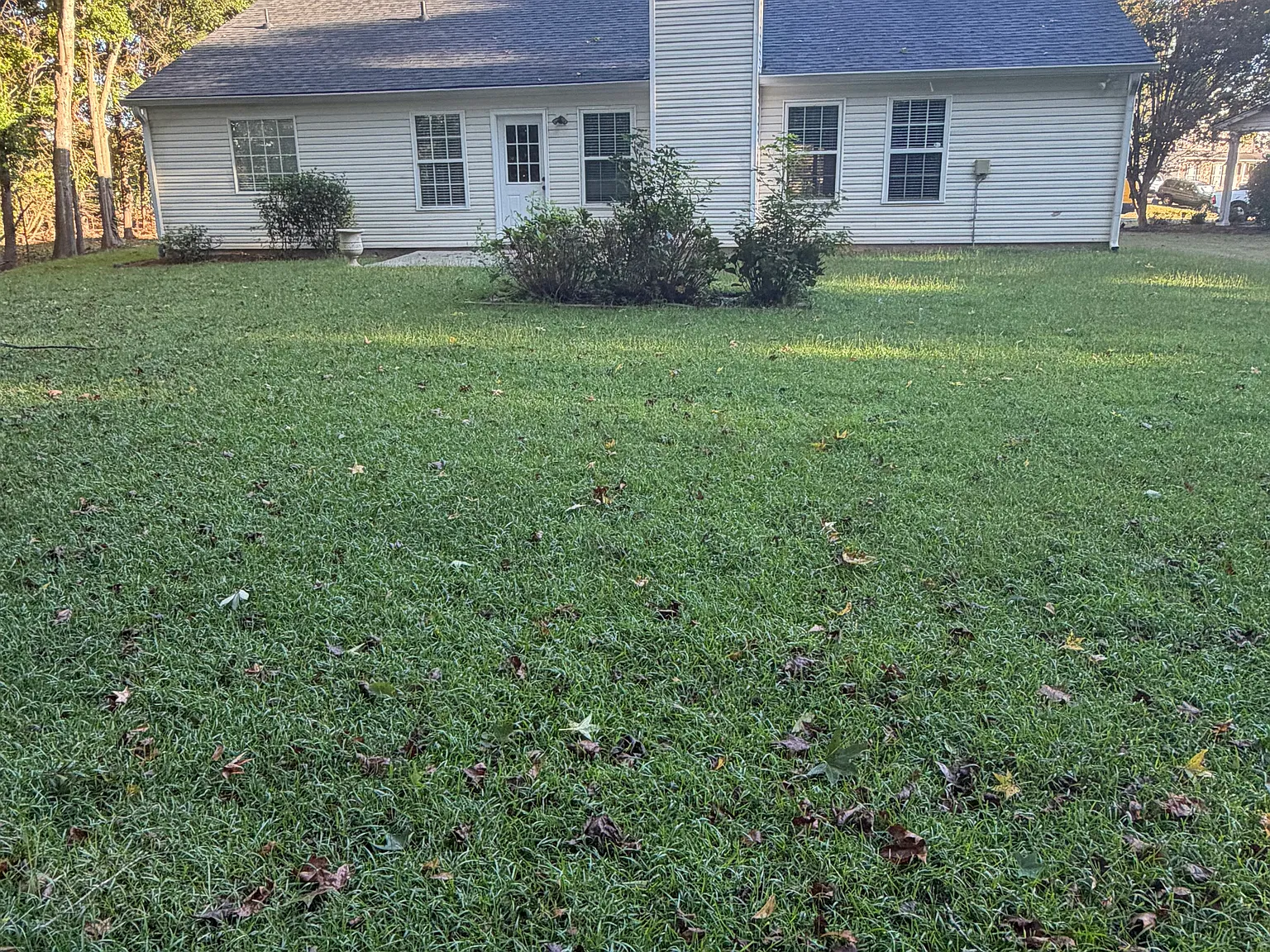 3 bed, 1908 sqft, $2,300 — Photo 3