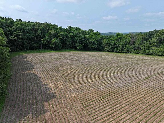 5th image of 21.99 Observatory Road #1