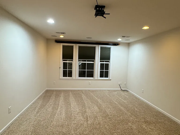 Media Room with 120" screen