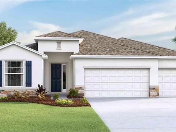 32226 Conchshell Sail St, Wesley Chapel, FL 33545