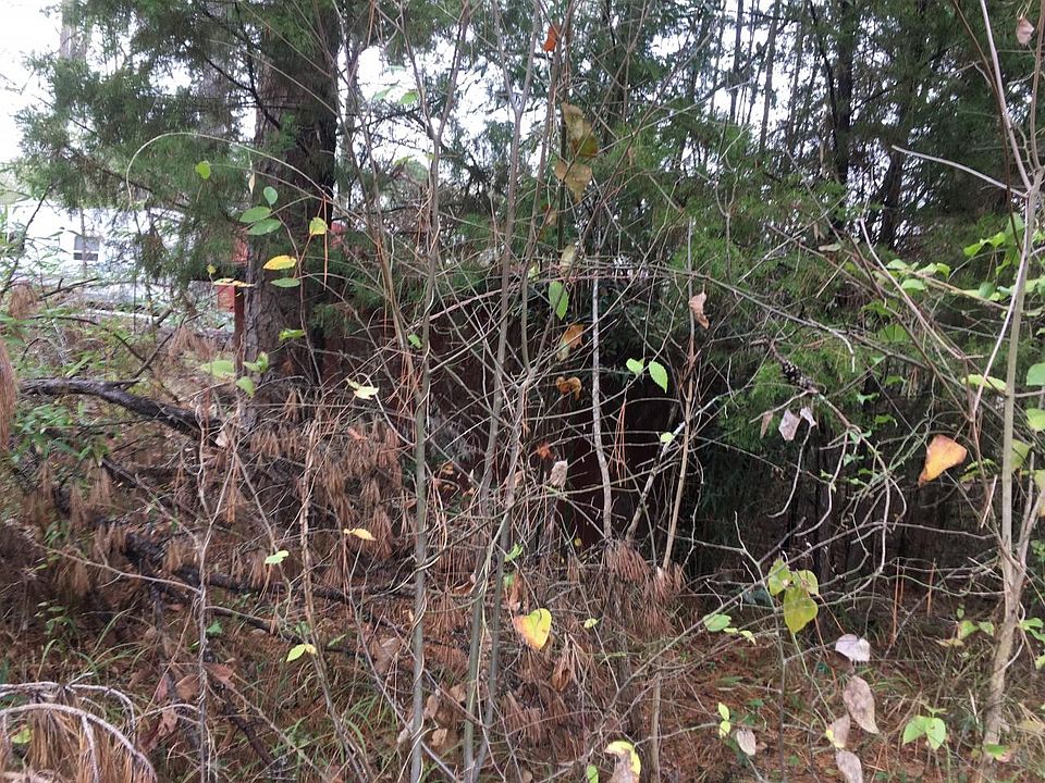 2nd image of 1111 Forest Hill Dr
