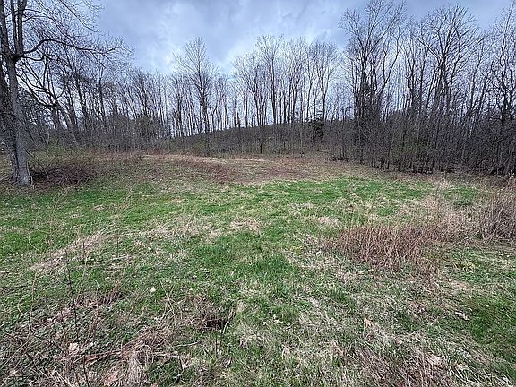 5th image of 131 Hungry Hollow Rd