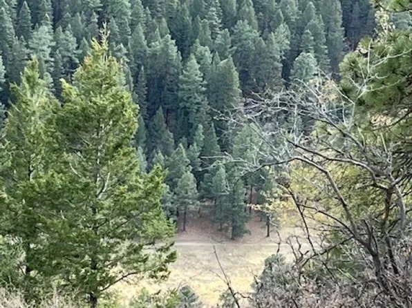 55 Enchanted Forest Ln, Cloudcroft, NM 88317