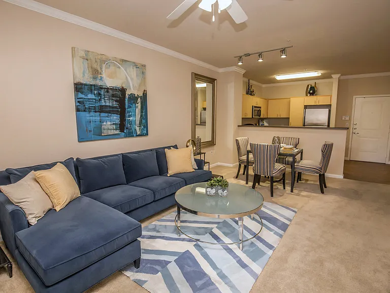 1A1 763-801 SQ FT 1 Bed 1 Bath