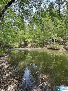 Lots 123 Red Cedar Dr #123, Wedowee, AL, 36278