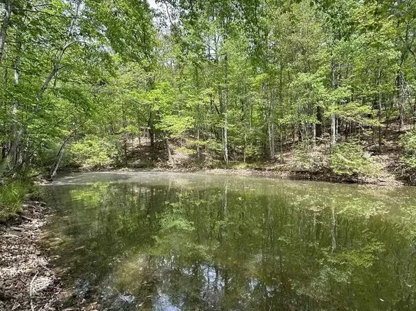 Lots 123 Red Cedar Dr #123, Wedowee, AL 36278