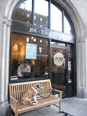 Sold by Douglas Elliman | media 28