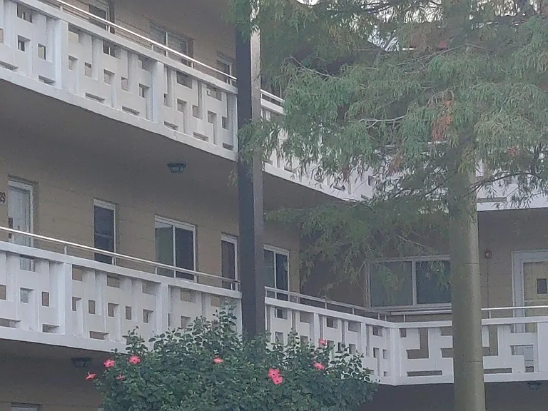 2417 Persian Dr #49 — Photo 33