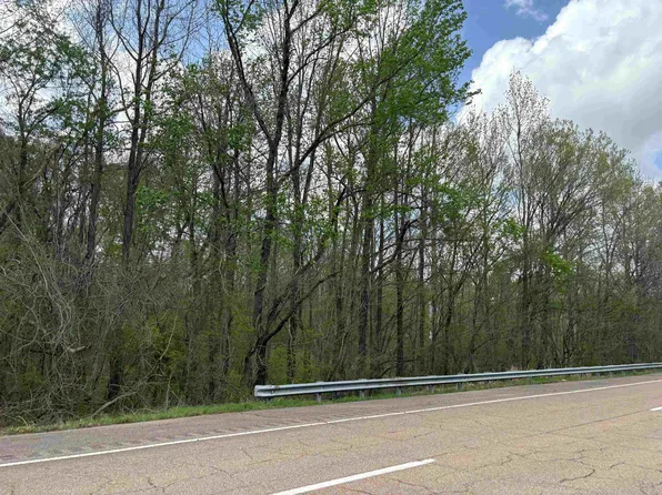 0 N Watkins St, Millington, TN 38053