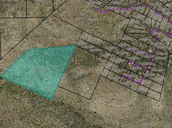Canon Del Pino Rd, Estancia, NM 87016