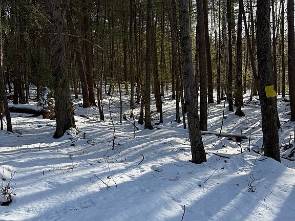 2nd image of 0 Four Mile Brook Rd