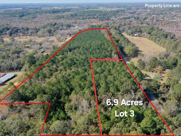 E Dogwood Trl Lot 3-A-&, Coffee Springs, AL 36318
