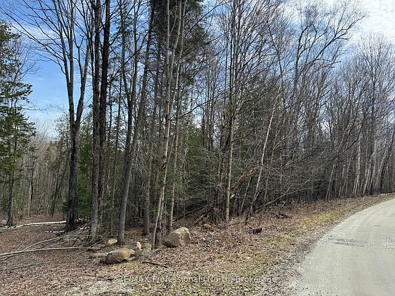 3rd image of North Dr
