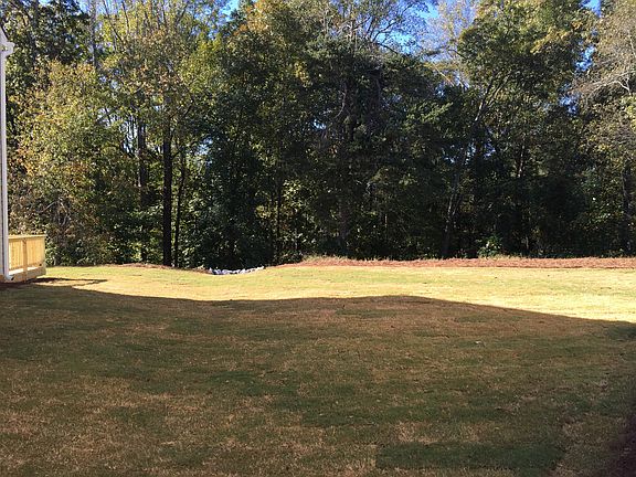 Actual Backyard Space