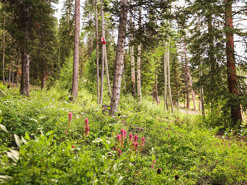 1st image of 301 White Pine Canyon Rd Lot 301