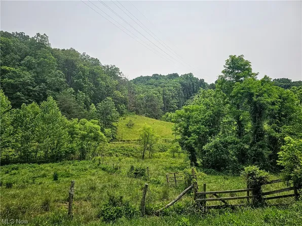 0 Buck Rd, Leon, WV 25123