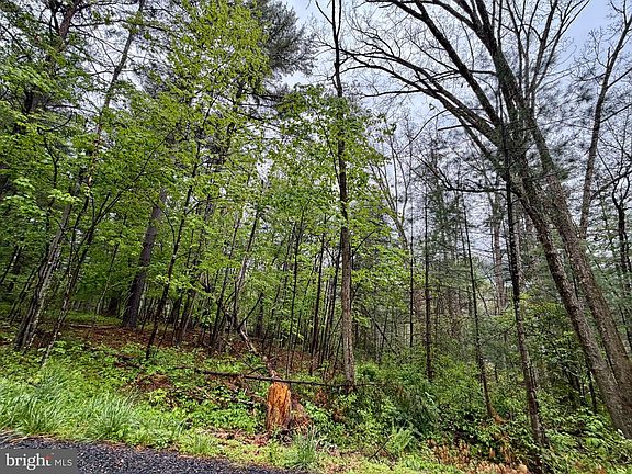 2nd image of Lots 1 & 2 Trout Run Rd