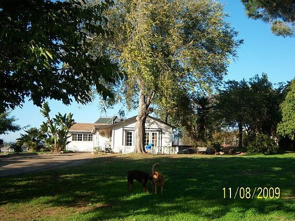 Fantastic yard!