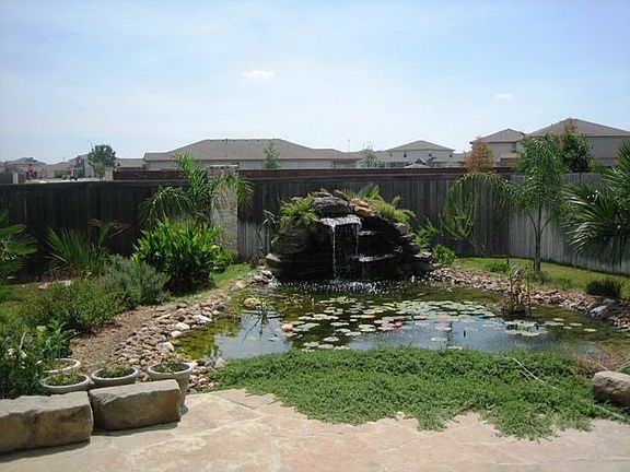 Koi Pond