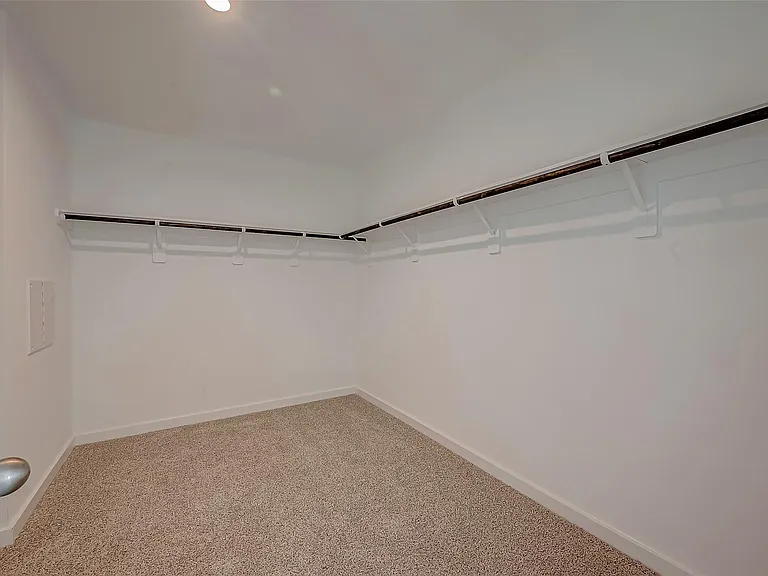1018 Fringed Bluestar Dr — Photo 42