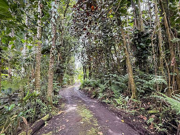 3rd image of Japanese Camp Rd Lot 47