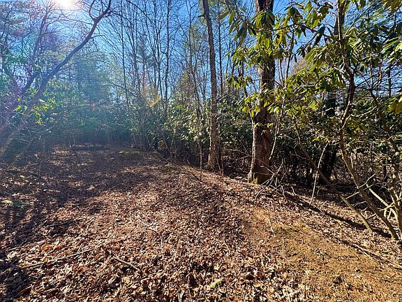 5th image of Graymont Ln