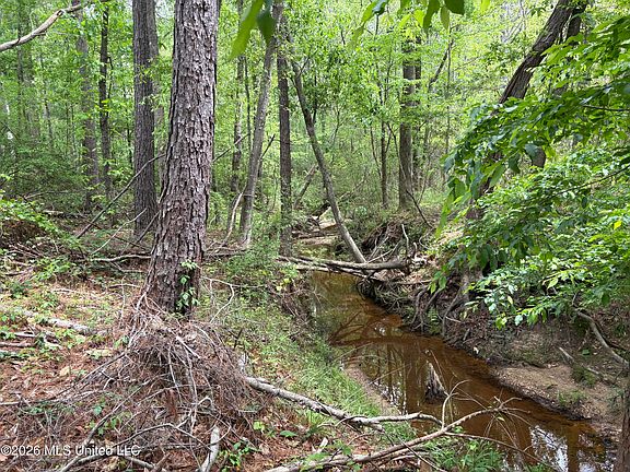 2nd image of Forest Trl NE