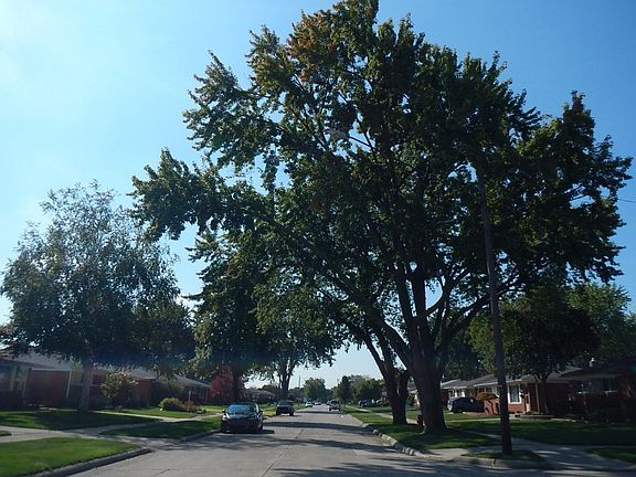 5th image of 28753 Malvina Dr