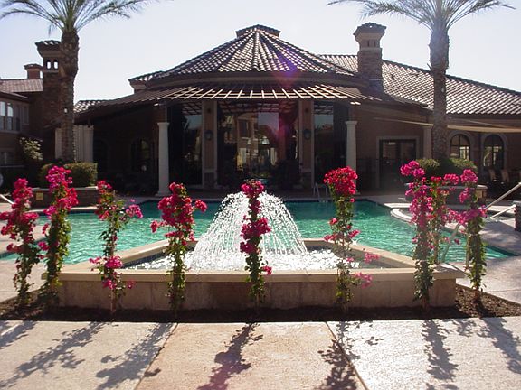 Pool and common area.