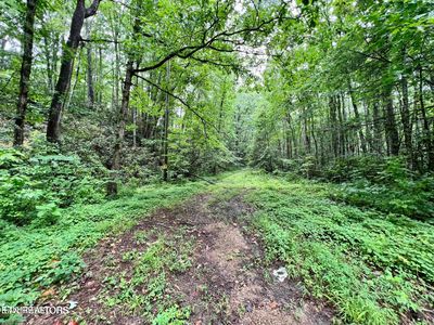 Sycamore St, Sevierville, TN, 37876